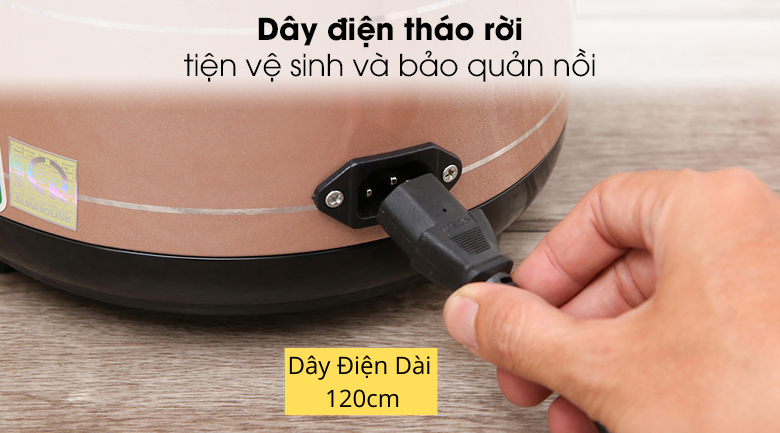 day-dien-thao-roi.png