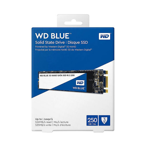 Ổ cứng SSD WD Blue M.2, SATA, 250GB_WDS250G2B0B