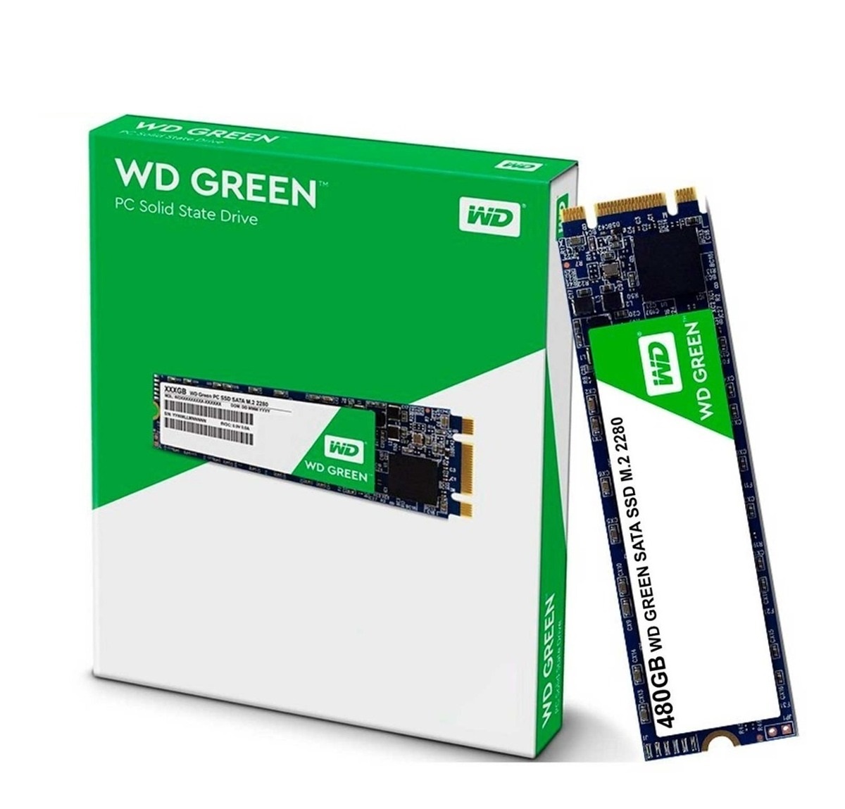 Ổ cứng SSD WD Green M.2, SATA, 480GB_WDS480G2G0B